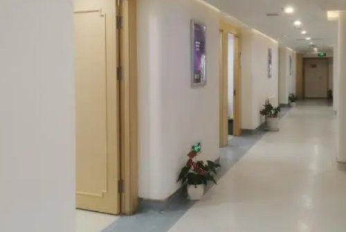 同时会定期到北京的大型整形ky88开