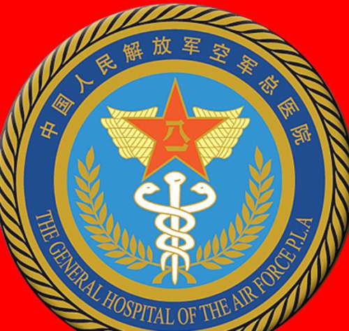 然后以面部的黄金比例作为模板进行设计